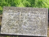 king-of-leinster.jpg