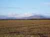 mt-leinster01.jpg