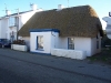 wexford-01.jpg