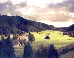 Woodenbridge Golf Club